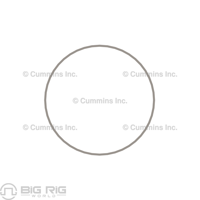 Liner Seal Ring 3054949 - OEM - Cummins - Big Rig World