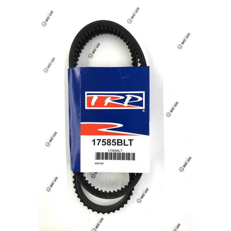 V Belt - 17/32 TW X 58 1/2 EL 17585BLT - TRP