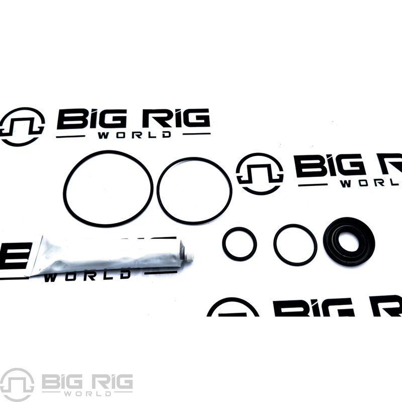 Repair Kit - Seal SK000255 - Ross Gear/TRW