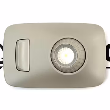 Lamp - Reading, Sleeper, Swivel A22-73818-000 - Freightliner