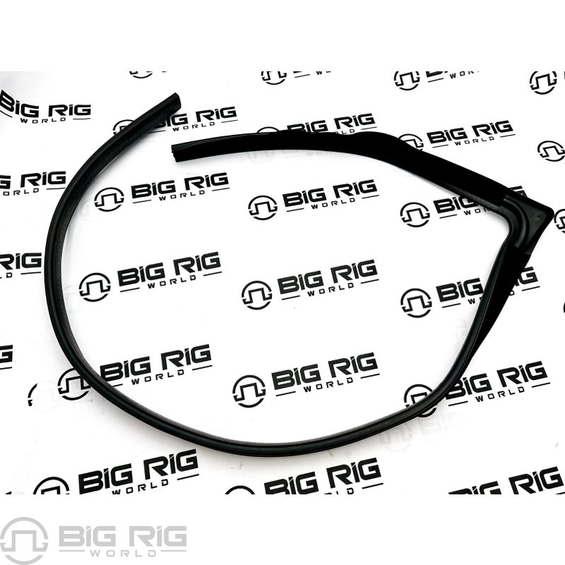 Door Window Channel Seal - Right Side 4053411C2 - International