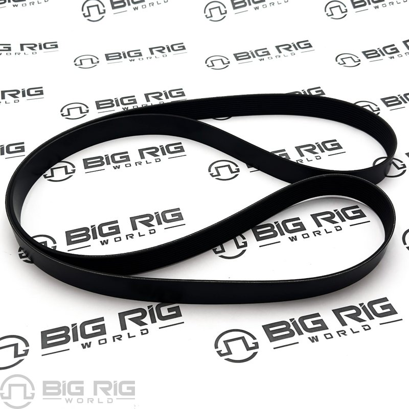 Belt 10 Rib, 2420MM, Poly Serpentine 01-30883-420 - Freightliner