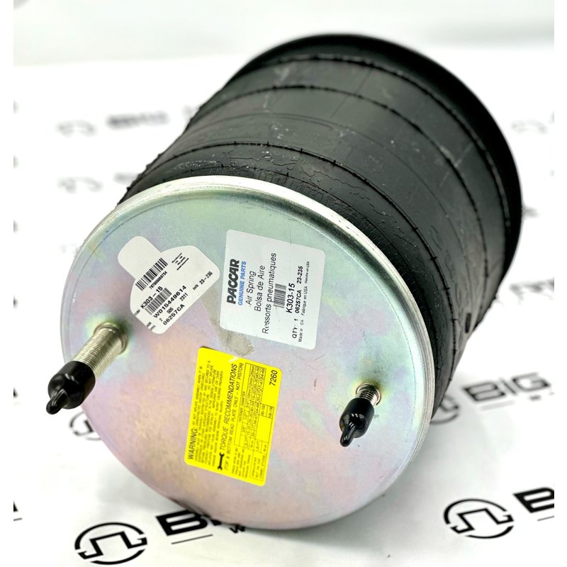 Air Spring Assembly - AG100 K303-15 - Kenworth