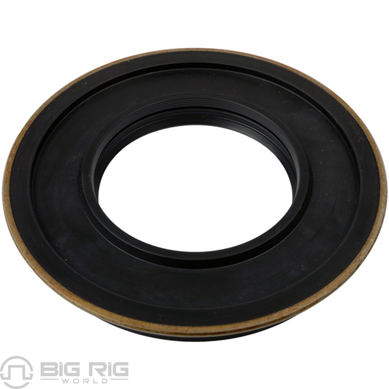 Seal 33254CHR - SKF