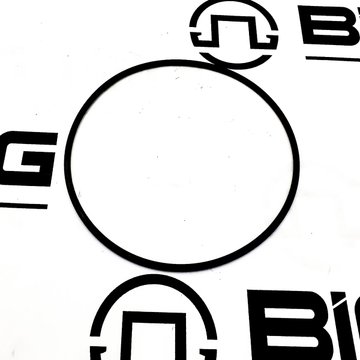 Seal, O-Ring 4903514 - Cummins