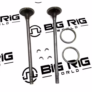 Kit - Intake Valve 5693781 - Cummins