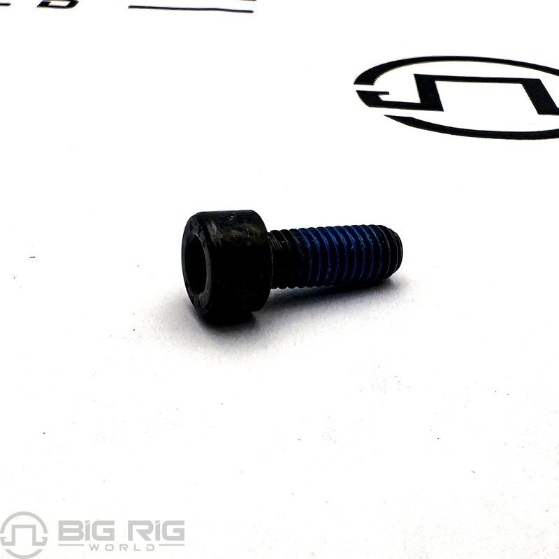 Screw - CAP CYLND SKT SL NYL M6-1.00X16 HWC07641 - M&M Fastener
