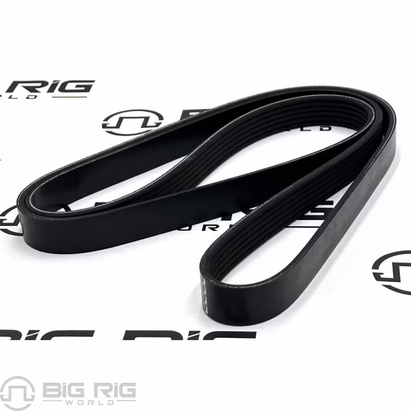 Belt 6 Rib 1620mm D84-1000-6061620 - Paccar
