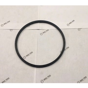 Cylinder Liner O-Ring 1783976PE - Paccar Engine