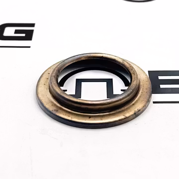 Plug Washer 2538 - Fuller