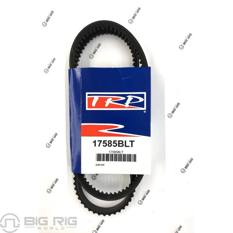 V Belt - 17/32 TW X 58 1/2 EL 17585BLT - TRP