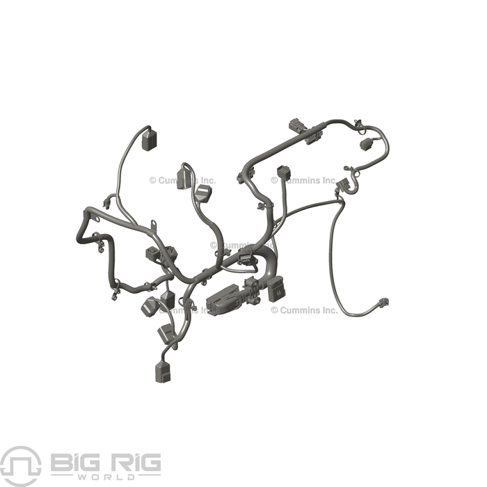 Harness Wiring - Engine 5336409 - Cummins