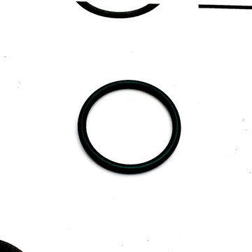 O-Ring, Prescreen Bowl 1825183C91 - International