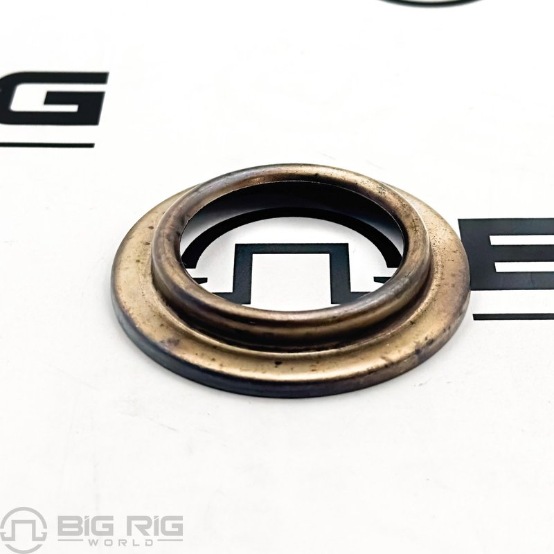 Plug Washer 2538 - Fuller