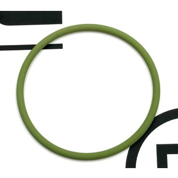 O-Ring, Unit Pump, Lower 1871307PE - Paccar Engine