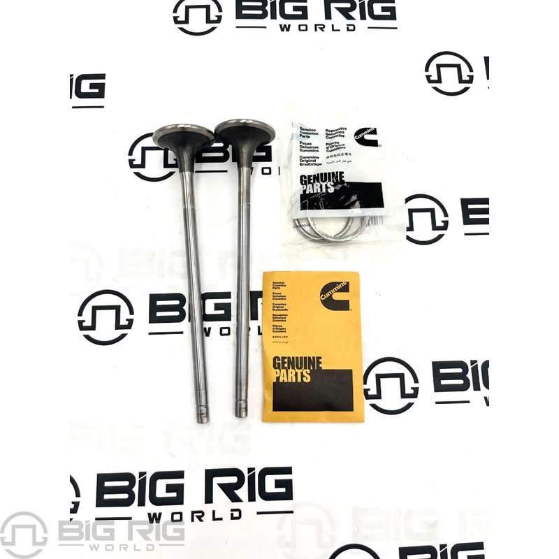 Kit - Intake Valve 5693781 - Cummins
