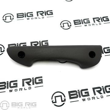 Door Pull Grip RH 74601TK110 - Kenworth