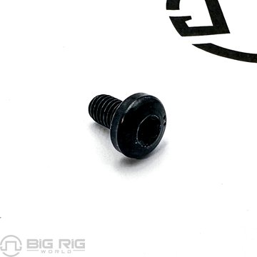 Hexal Rec Screw M6 x 10 1295124PE - Paccar Engine