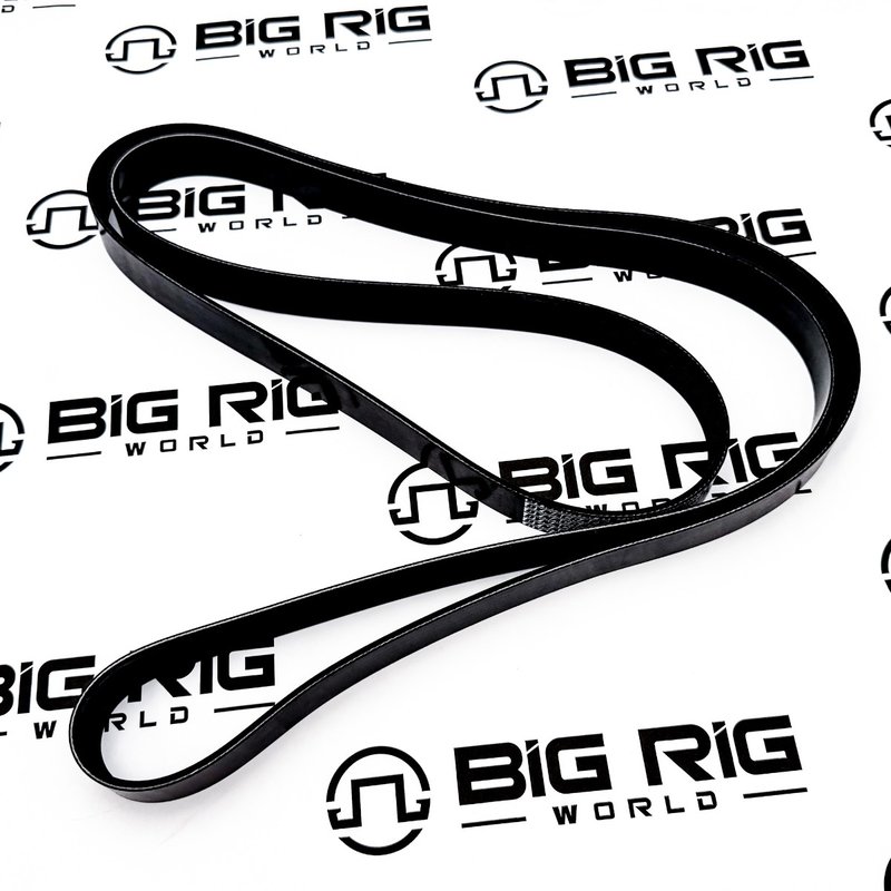 Belt-Poly 8 Ribs X 2448 Plystr D84-1000-6082448 - Paccar