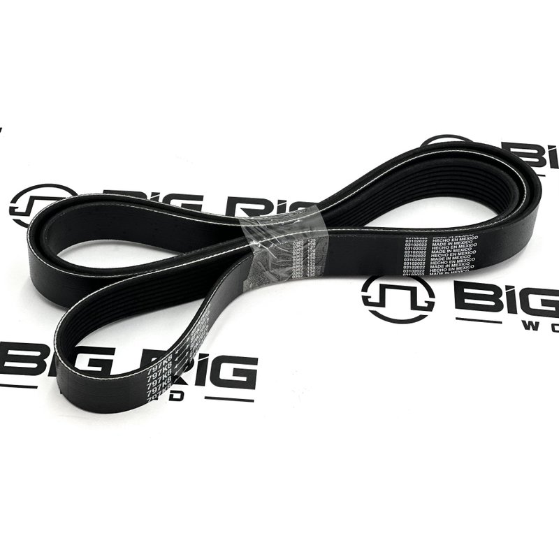 Belt - Poly 8 Ribs X 79 5/7 EL 797K8BLT - Paccar