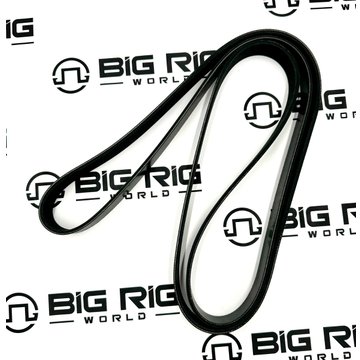 Belt - Poly 8 Ribs D84-1000-3082125 - Paccar