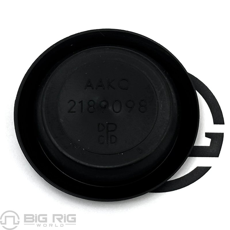 Hole Plug - Sleeper, Recessed, Head, 1.0 23-11688-014 - Freightliner