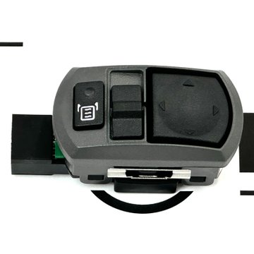 Switch-Mirror, Dual Heat P27-1181-001 - Paccar