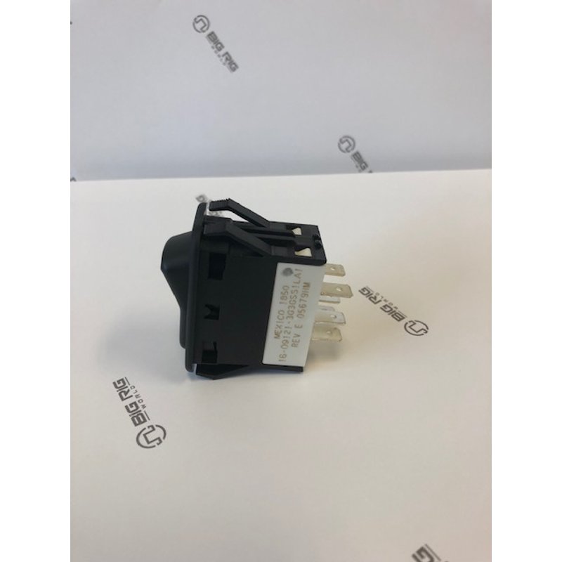 Switch-Blank Double Pole 16-091213G3GSS1LA1 - Paccar