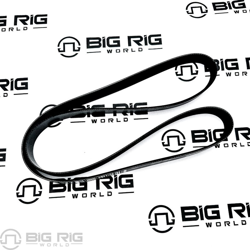 V-Ribbed Belt 23961764 - Mack