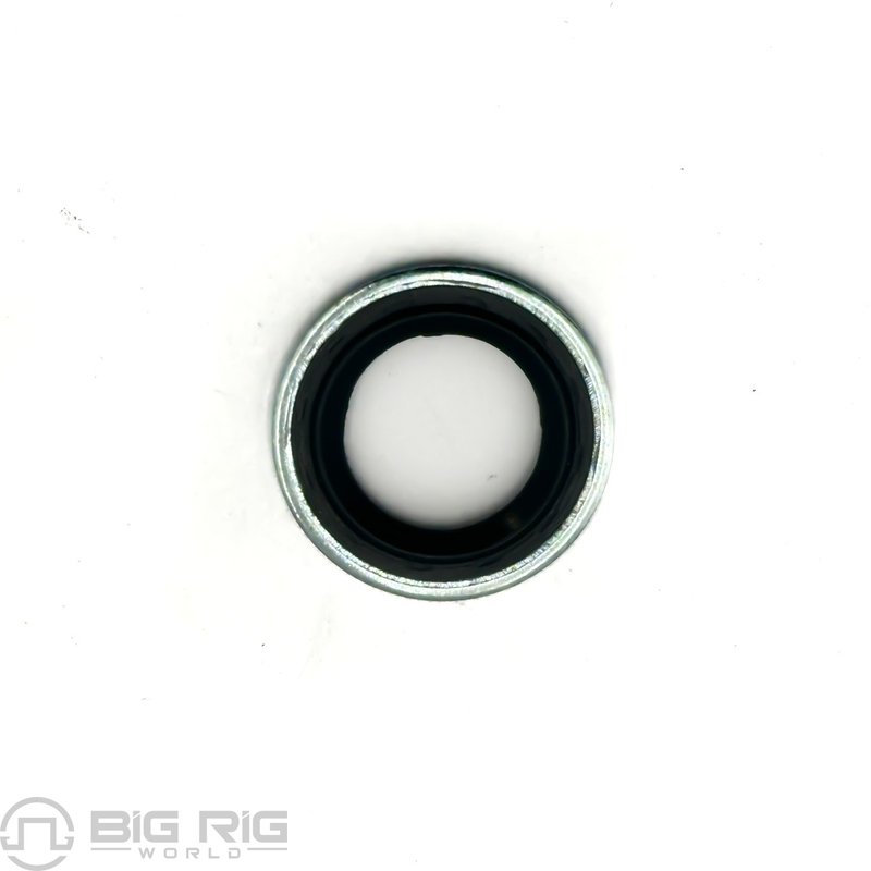 Washer - Stat - O - Seal 1/2 Inch 1000309831BSM - Bergstrom
