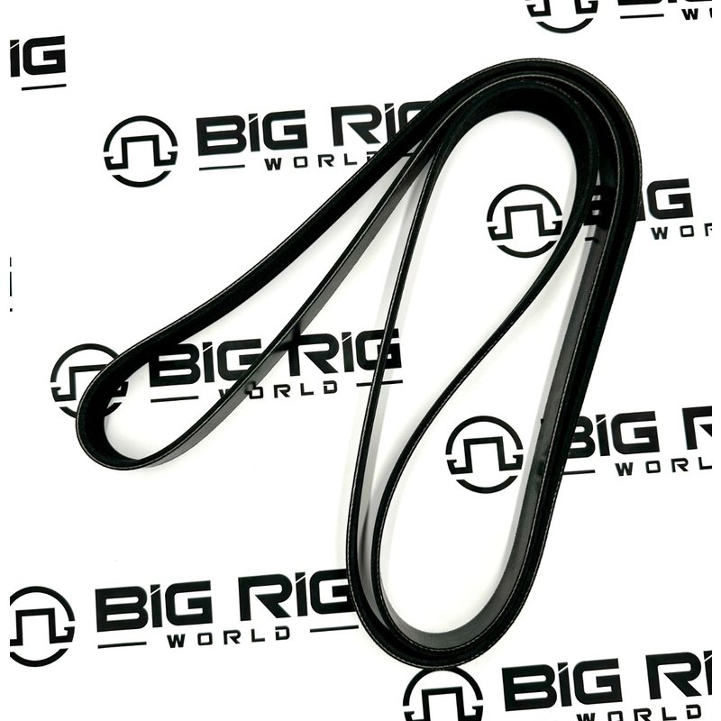 Belt - Poly 8 Ribs D84-1000-3082125 - Paccar