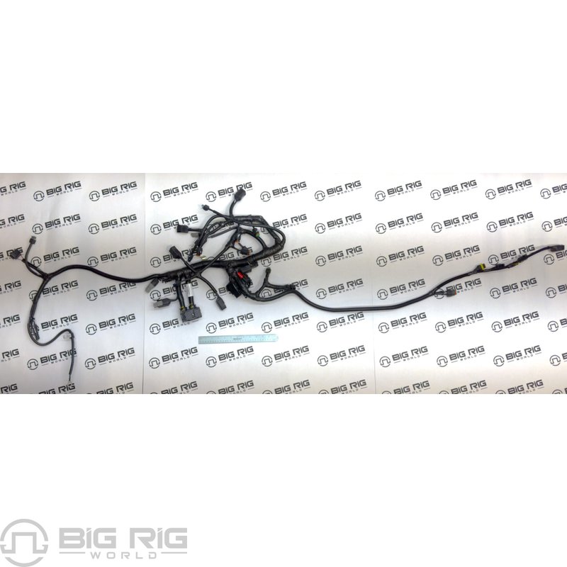 Wiring Harness - Engine 4926071 - Cummins