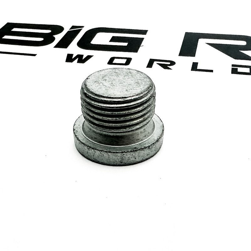 Screw Plug A0039907017 - Detroit Diesel
