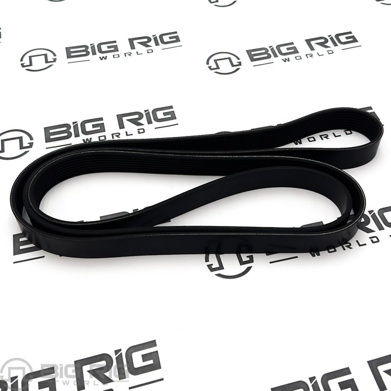 Belt - Poly 8 Ribs X 2175 PLYSTR D84-1000-6082175 - Paccar