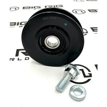 Cast Iron Pulley - Kit 89927DYC - TRP