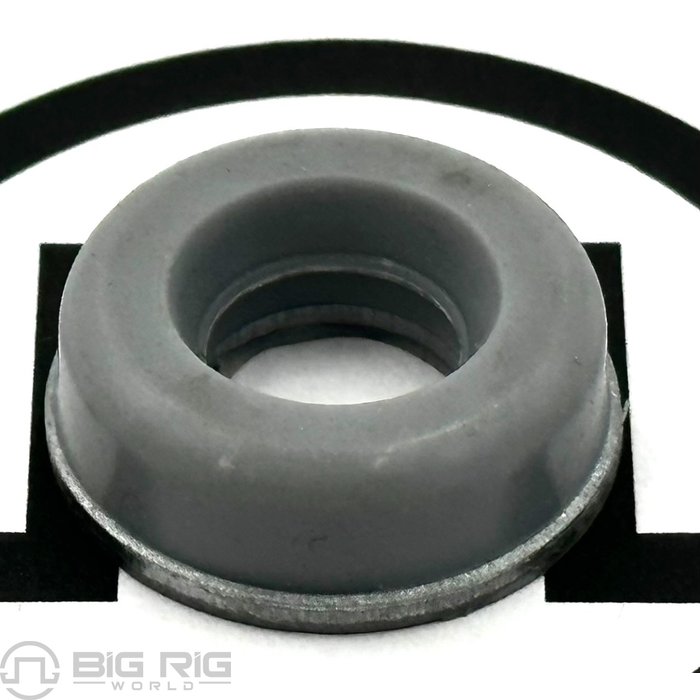 Insulating Washer 20706143 - Mack