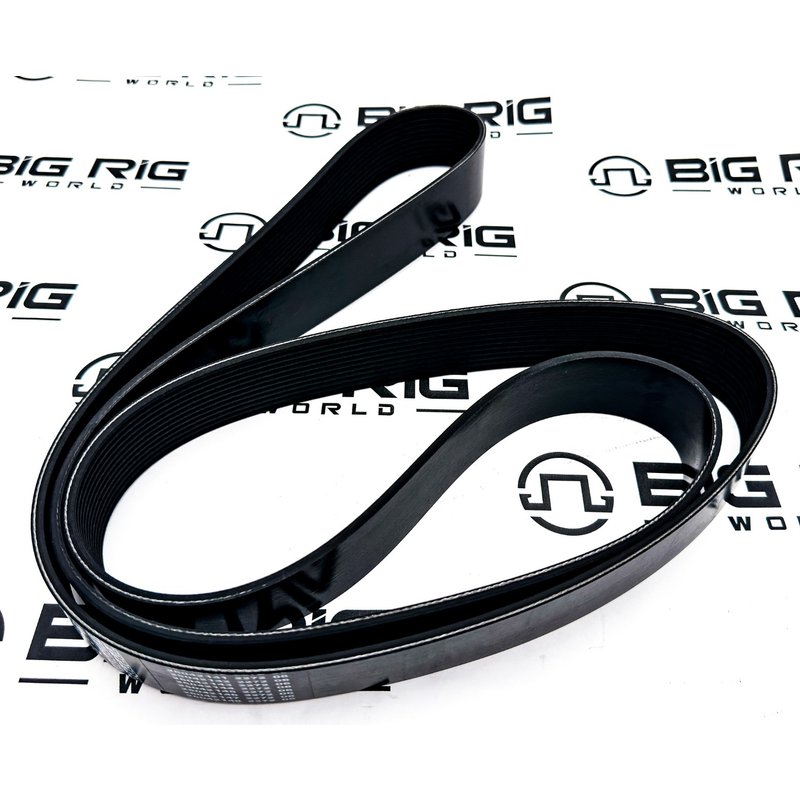 V Ribbed Belt 3682891 - Cummins
