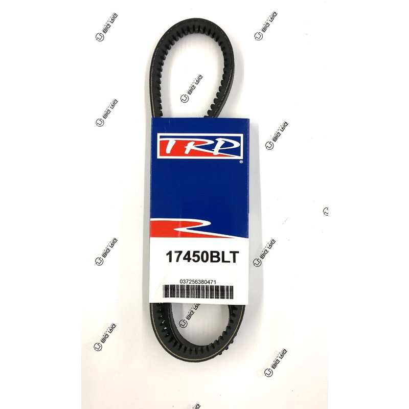 V Belt - 17/32 TW X 45 EL 17450BLT - TRP