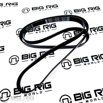 V Ribbed Belt 3289974 - Cummins