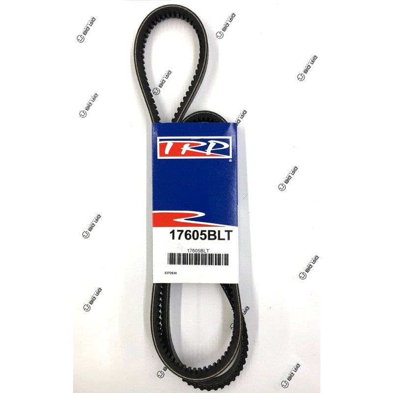 V Belt - 17/32 TW X 60 1/2 EL 17605BLT - TRP