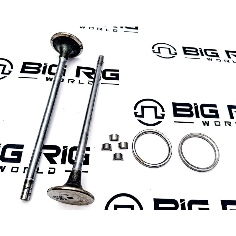 Kit - Intake Valve 5693781 - Cummins