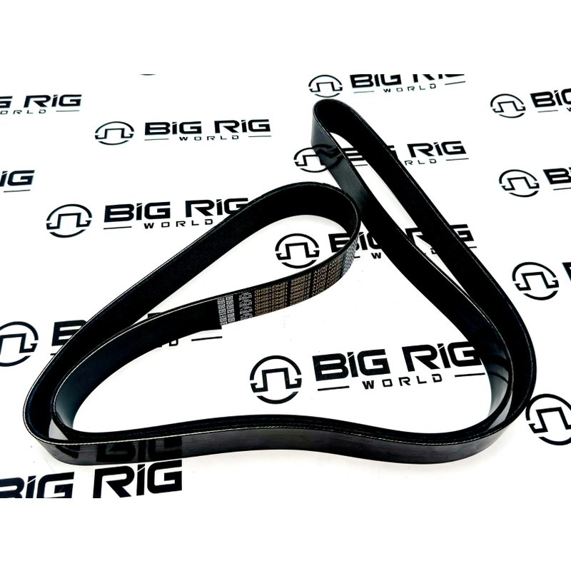 Poly Rib Gold Label Belts 5120865DYC - Dayco