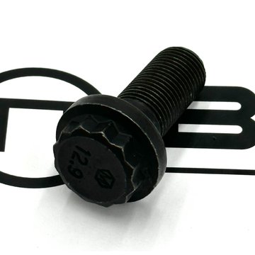 Screw, Twelve Point Cap 3678740 - Cummins