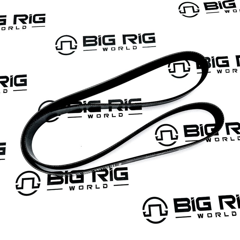 V-Ribbed Belt 23961764 - Mack