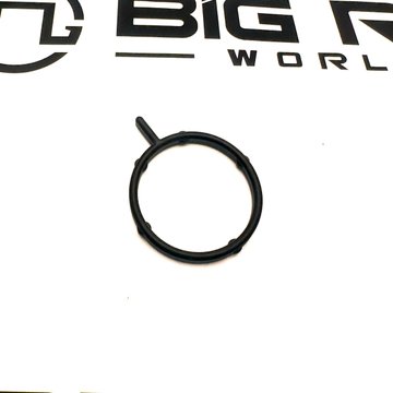 Oil Cooler Coolant Pump Seal 2140650PE - Paccar Engine