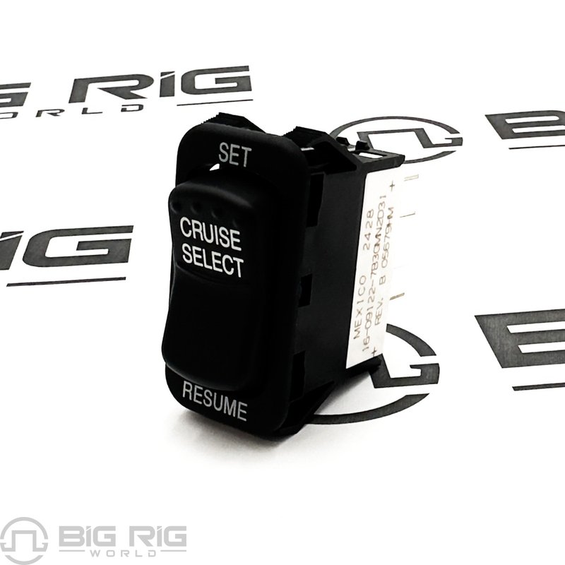 Cruise Control Switch - Single Pole with LEDs 16-091227B3GMN2D31 - Peterbilt