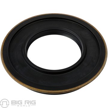 Seal 33254CHR - SKF