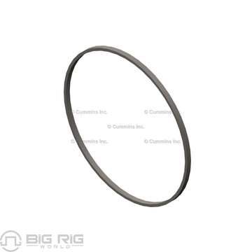 Liner Seal Ring 3054948 - Cummins