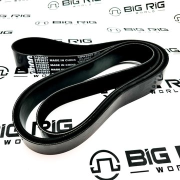 V Ribbed Belt 3103837 - Cummins