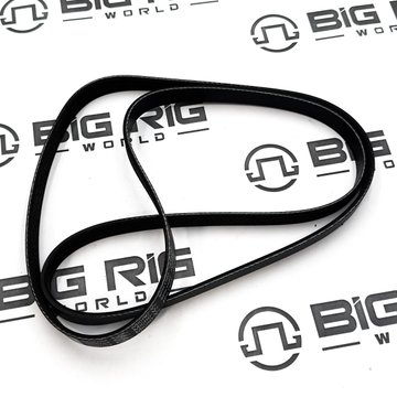 Belt, V Ribbed 3696704 - Cummins